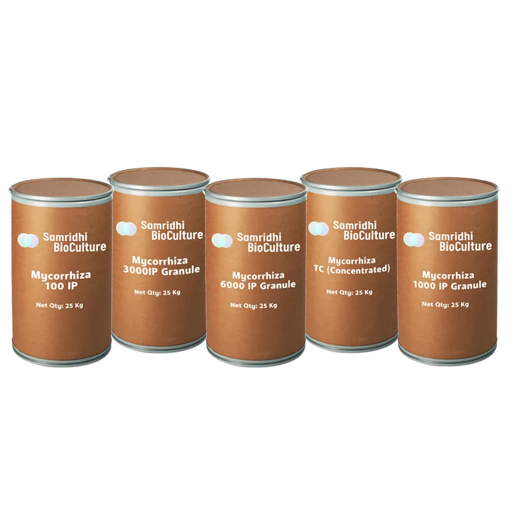 Mycorrhiza + Humic Acid Formulation