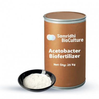 Acetobacter Bio Fertilizer Water Soluble Formulation