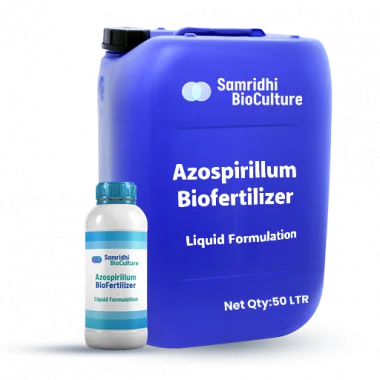Azospirillum Bio Fertilizer Liquid Formulation