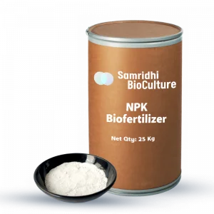 NPK Bio Fertilizer Water Soluble Formulation