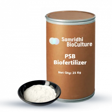 PSB Bio Fertilizer Water Soluble Formulation