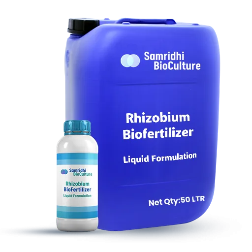 Rhizobium Bio Fertilizer Liquid Formulation