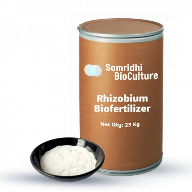 Rhizobium Bio Fertilizer Water Insoluble Formulation