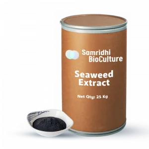 Seaweed Extract Powder PGR Formulation