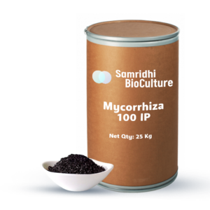 Mycorrhiza 100