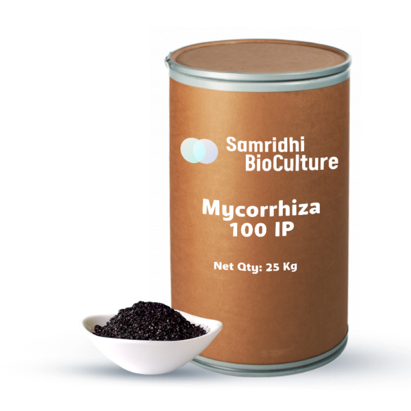 Mycorrhiza 100