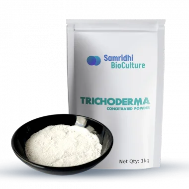 Trichoderma Concentrated Powder