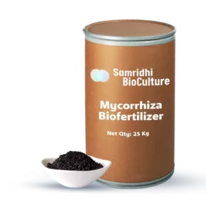 Mycorrhiza Bio Fertilizer