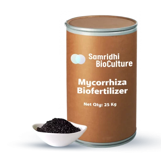 Mycorrhiza Bio Fertilizer