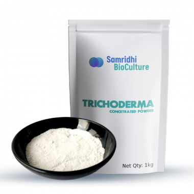 Trichoderma Water Soluble Powder