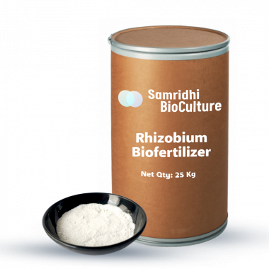 04 Rhizobium powder 25kg