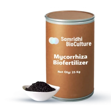 Mycorrhiza